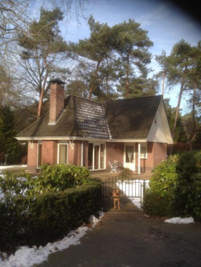 Comfortable, fully equipped house in nature wheelchair friendly, free internet